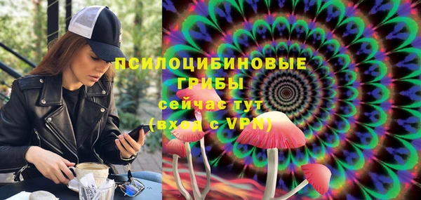 ГАЛЛЮЦИНОГЕННЫЕ ГРИБЫ Алзамай