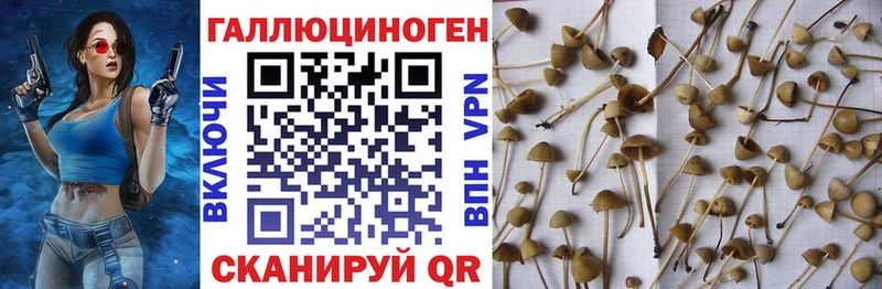 Псилоцибиновые грибы мухоморы  Липки 
